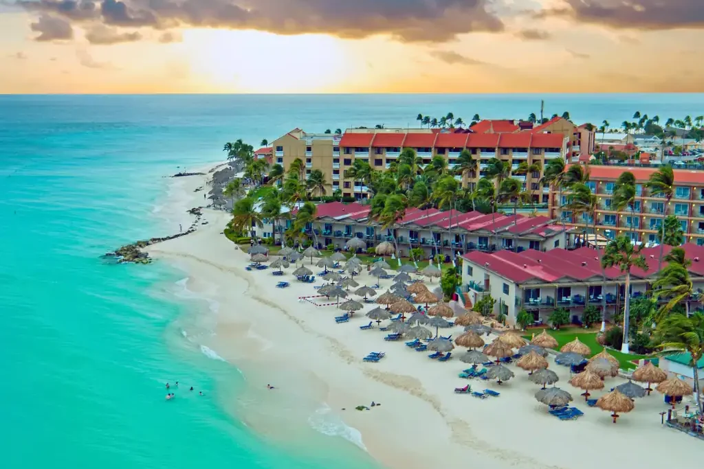 Playa paradisíaca de Aruba con aguas turquesas y palmeras.