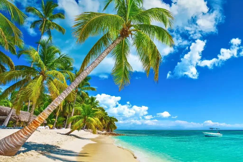 Playa paradisíaca de arena blanca y mar turquesa en Punta Cana