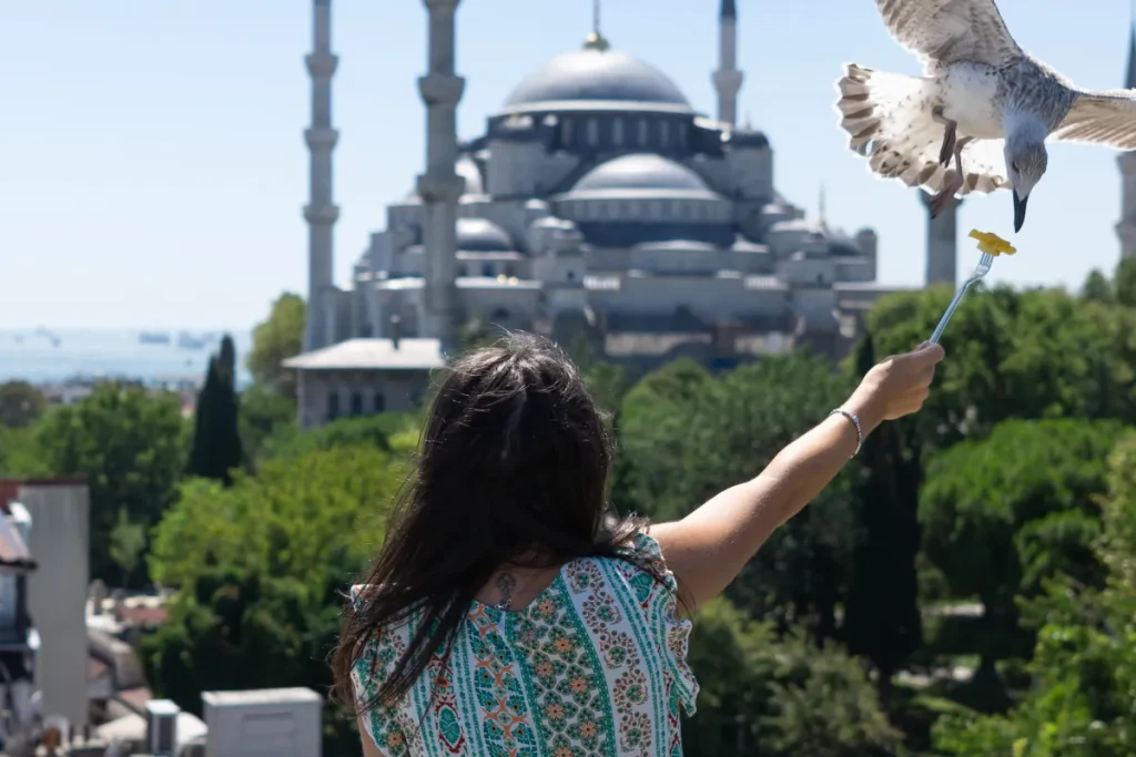 mesquita-estambul-transamerica Mujer alimentando una gaviota con la Mezquita Azul de Estambul de fondo, ideal para viajes a Turquía con Transamerica Viajes.
